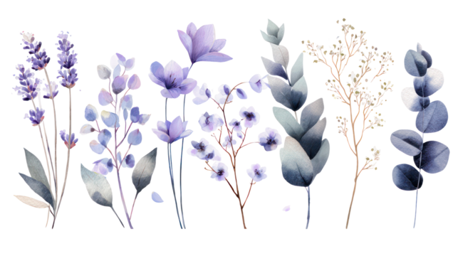 Minimal watercolor floral set with delicate lavender eucalyptus on transparent background - Powered by Adobe