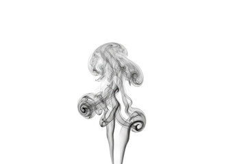 Fototapeta premium Ethereal grey smoky texture, wispy and translucent, subtly billowing upwards from the bottom, against a pristine soft white background with ample copy space, soft diffused lighting, abstract concept