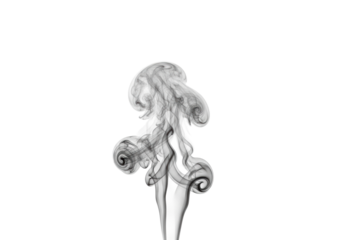 Ethereal grey smoky texture, wispy and translucent, subtly billowing upwards from the bottom, against a pristine soft white background with ample copy space, soft diffused lighting, abstract concept