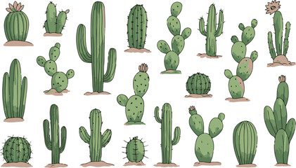 Hand drawn collection of various desert cactus plants isolated on white background