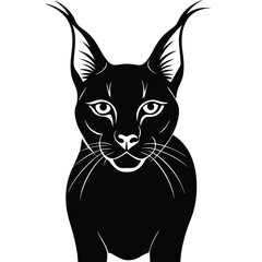 caracal cat vector