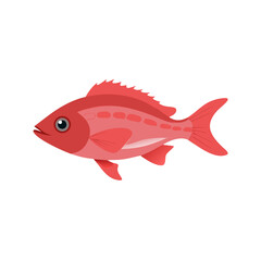 Illustration of a vibrant red fish on a black background