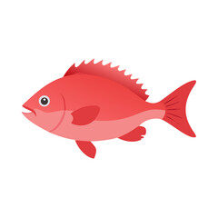 Flat design illustration of a vibrant red snapper fish