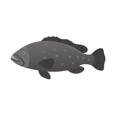 Isolated grey grouper illustration swimming in black ocean background