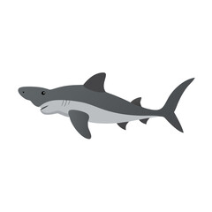 Simple gray shark illustration on black background visual asset