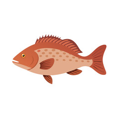 Orange snapper fish illustration with black background design element