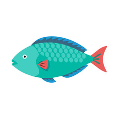 Stylized teal fish illustration on clean black background