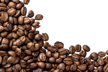 Roasted coffee beans, aromatic pile of brown coffee grains, caffeine on transparent background