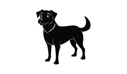 Fototapeta premium Black labrador retriever dog standing on a white background