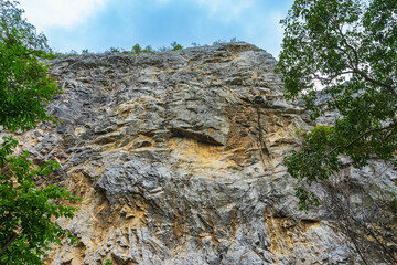 View of large honeycomb or beehives perched on beautiful rock cliff cave with worker bees perched on nest in forest. Honeybee swarm hanging on cliff in forest. Large Honeycomb nest on the rocks.