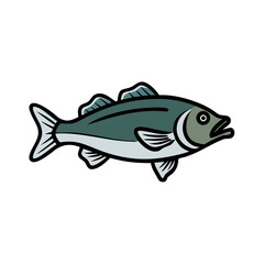 Stylized sea bass fish illustration on a black background