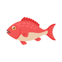Stylized single red snapper fish swimming on black background