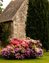 Colorful flower bushes by stone building