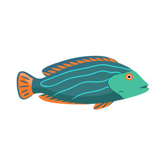 Cartoon fish illustration with turquoise and orange accents
