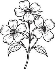 Detailed black and white illustration of blooming dogwood flowers and fresh green leaves.