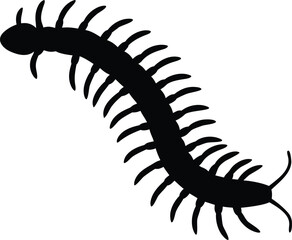 Centipede vector silhouette, centipede black icon