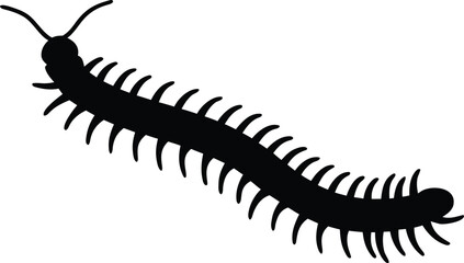 Centipede vector silhouette, centipede black icon