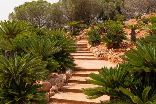Parc Botanicactus Majorque Ile bal&eacute;ares Espagne