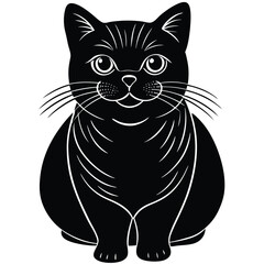 brirish shorthair vector