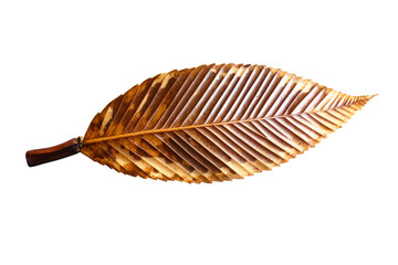 Brown dry leaf with detailed veins and serrated edge on white