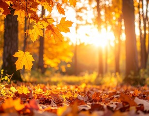 Bosque otoñal con hojas en tonos naranjas, dorados y rojos, luz cálida al atardecer, estilo fotográfico realista, enfoque nítido, profundidad de campo cinematográfica