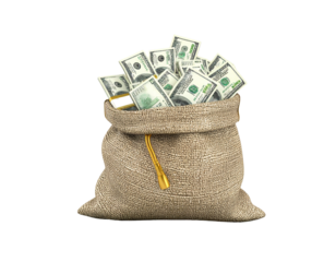 Firefly_3d Money Bag with dollar sign - Firefly_3d money bag isolated on white background. Generative AI  (2)