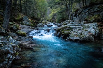Water flows gently through a rocky riverbed surrounded by lush green forest during early morning hours