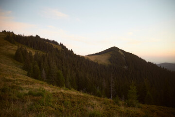 Majestic mountain landscape at dusk with lush greenery and rolling hills in a serene setting. Hiking in Carpathian Mountains. Ukraine