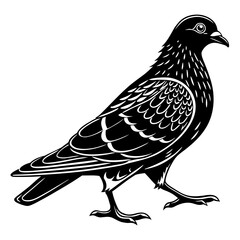 bird on a white background