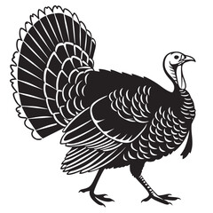 turkey vector illustration