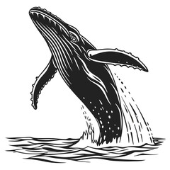 silhouette of a shark