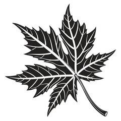 vector leaf silhouette