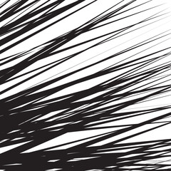 Obraz premium set of monochrome geometric patterns