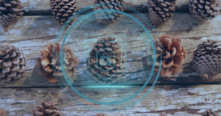 Fototapeta premium Displaying central pine cone showing digital padlock overlay on wooden plank, with pine cones