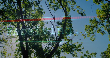 Reaching branches in woods, with red scan bar, green Decoding, white lines, transmission, sun flare © vectorfusionart