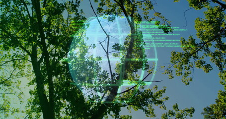 Projecting translucent holographic globe of Earth above forest canopy, with green code overlays