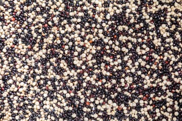 Mix of real quinoa grains from the white quinoa and black quinoa varieties. Chenopodium quinoa