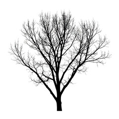 Abstract Vector Graphic with Geometric Shapes and Lines in RGB Color Model