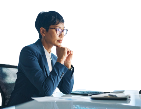 Firefly_3d Money Bag with dollar sign - Firefly_A woman lawyer financier with glasses is strict using a pc computer, transparent back  (2)