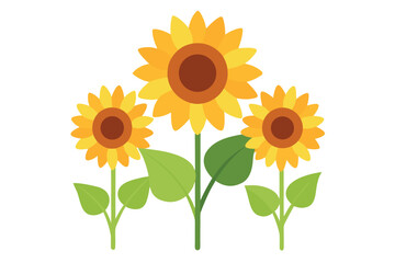 Obraz premiumBlooming sunflowers vector illustration. 