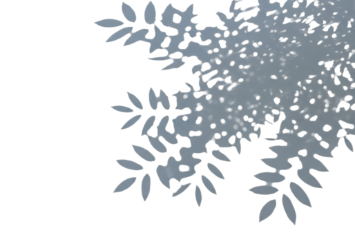 Intricate shadows of leafy branches forming organic dappled patterns with clear contours, sharply projected onto a pristine transparent seamless background with ample copy space, top-down flat lay