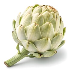 Fototapeta premium Waldspindel White Jerusalem Artichoke Elegant Pale Heirloom Tuber with Smooth Knots and Subtle Earthy Hues Isolated on Pristine White Background for Fresh Minimalist Culinary Photography