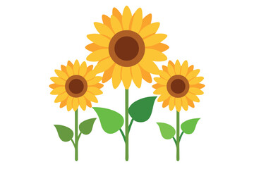 Obraz premiumBlooming sunflowers vector illustration. 