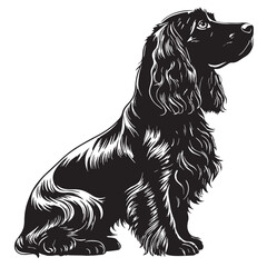 black cocker Silhouette Vector, High Quality Illustration on White Background