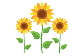 


   Blooming sunflowers vector illustration.
