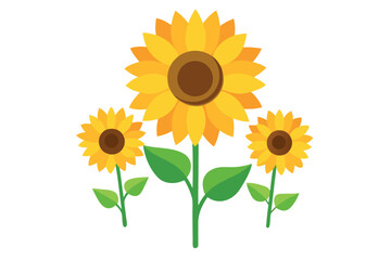 Obraz premiumBlooming sunflowers vector illustration. 