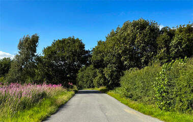 Broadstone Road winds through verdant countryside, framed by wildflowers and tall trees beneath a clear blue sky in Birdsedge, Huddersfield, UK