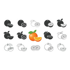 Vector art of oranges isolated on white background in color and black and white style