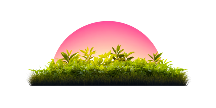 Green foliage border with soft pink and orange gradient circle