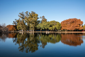 autumn trees reflected in lake